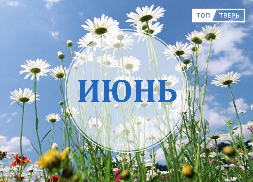 Выпьем на веранде: в России вступают в силу законы июня