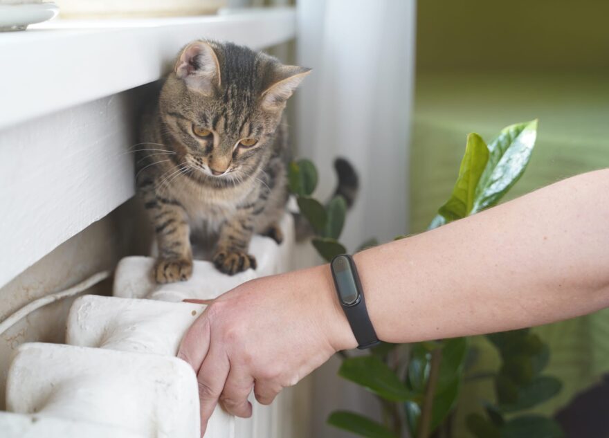 В Твери возобновят отопительный сезон