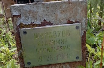 Жители Тверской области выяснили, от чего умер 14-летний мальчик