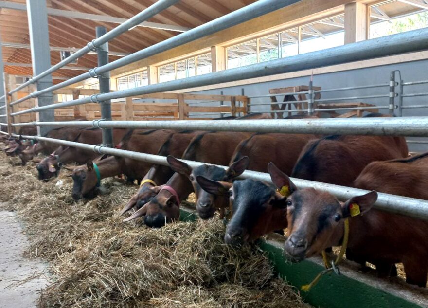 В Тверской области воплощают в жизнь новые инвестпроекты в сфере агротуризма