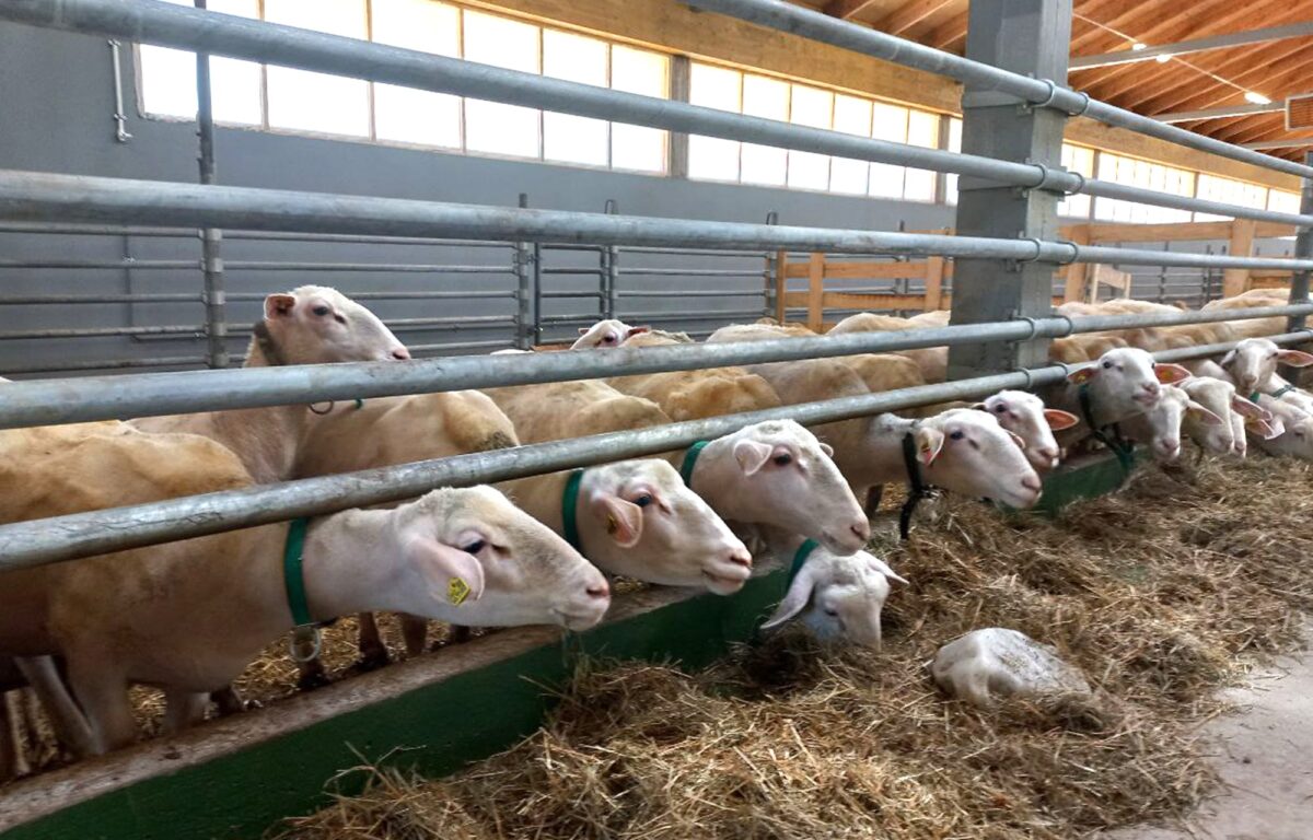 В Тверской области воплощают в жизнь новые инвестпроекты в сфере агротуризма