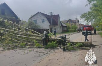 На дорогу в Твери из-за непогоды упало дерево