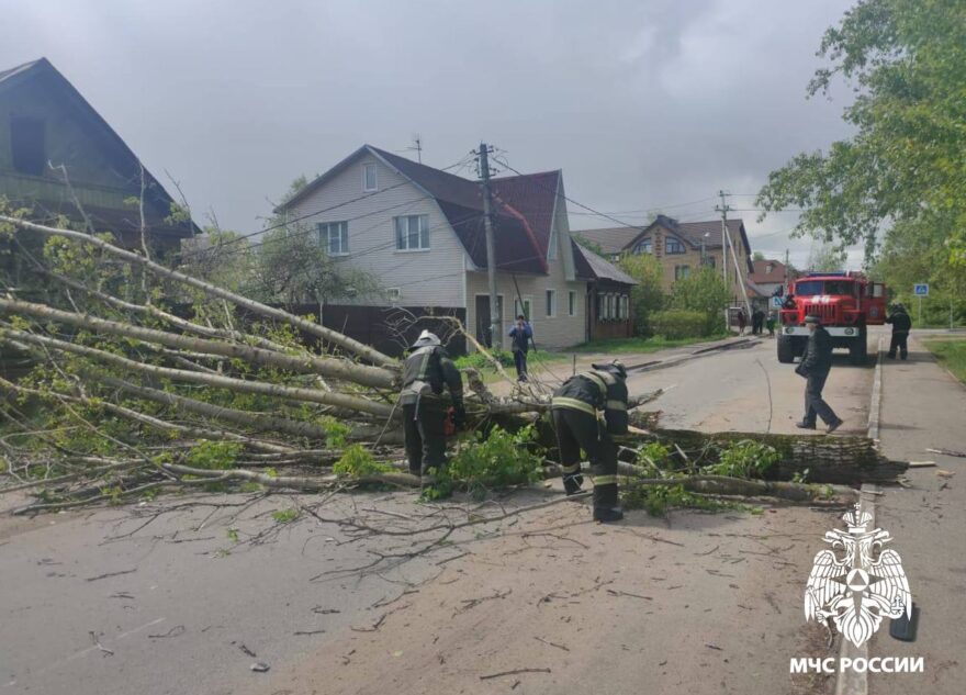 На дорогу в Твери из-за непогоды упало дерево