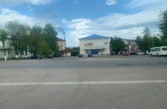 В Тверской области проводится проверка по факту нападения стаи собак на ребёнка