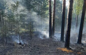 В 35 муниципалитетах Тверской области ввели особый противопожарный режим В 35 муниципалитетах Тверской области ввели особый противопожарный режим