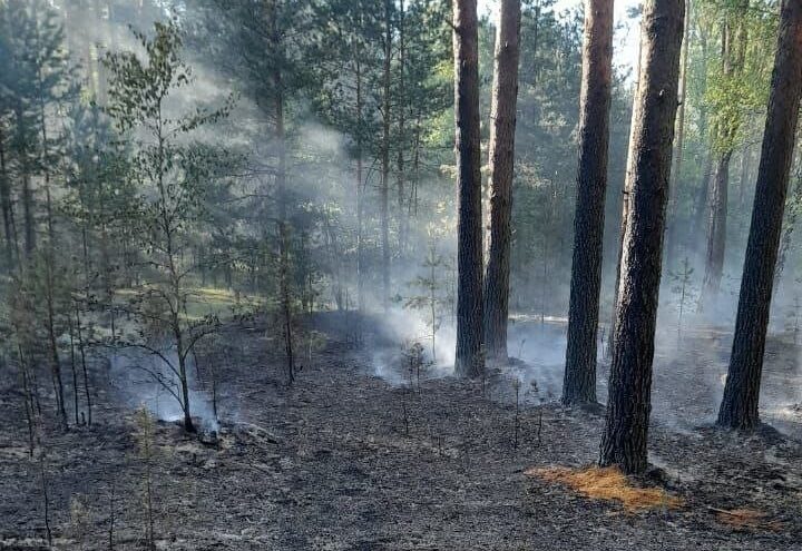 В 35 муниципалитетах Тверской области ввели особый противопожарный режим