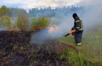 Под Тверью ликвидировали возгорание травы Под Тверью ликвидировали возгорание травы