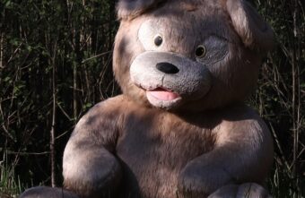 В районе Тверской области в лес выбросили огромного медведя