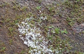 В Тверской области наблюдалось настоящее буйство стихии