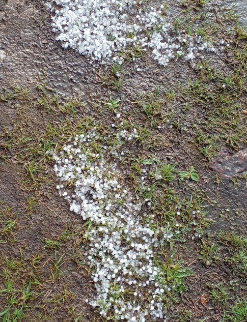 В Тверской области наблюдалось настоящее буйство стихии