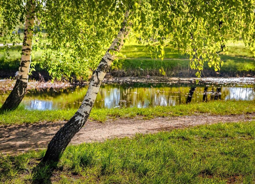 В Тверской области ожидаются жаркие выходные