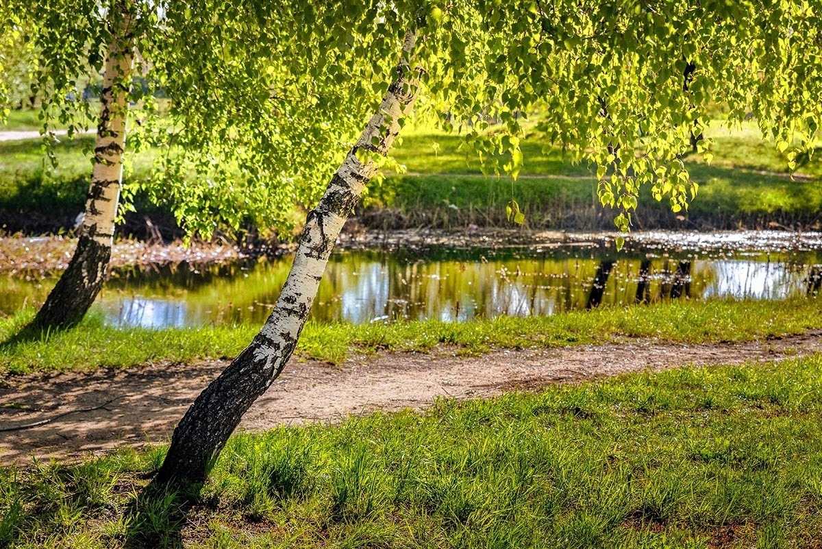 В Тверской области ожидаются жаркие выходные