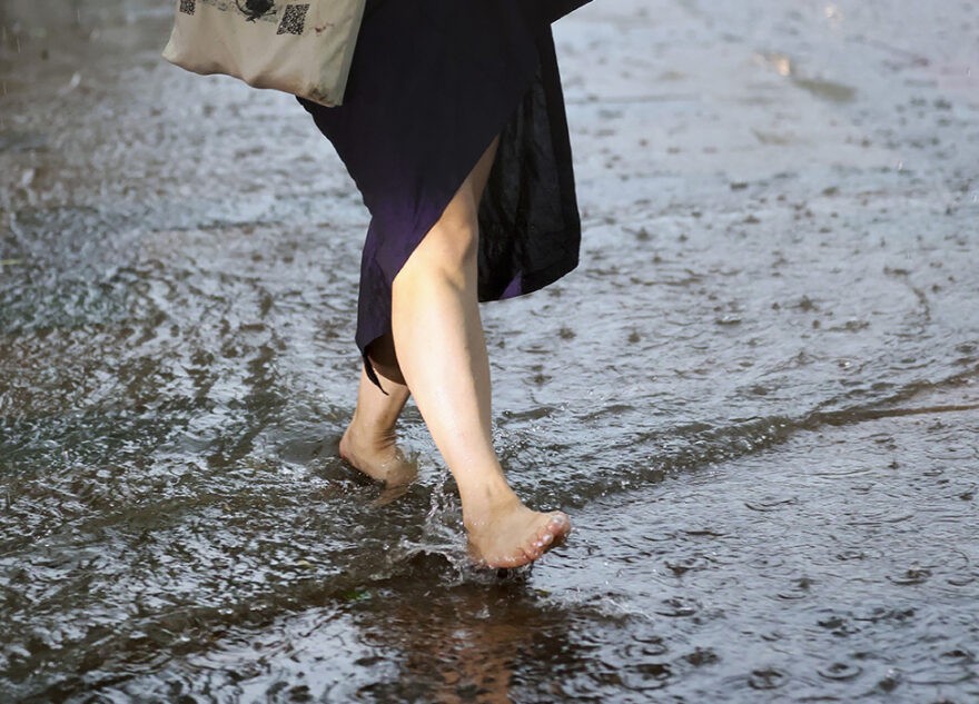 Синоптики Яндекс Погоды дали точный прогноз на лето