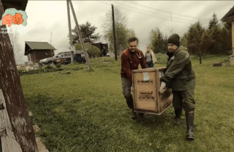 Спасенной в Тверской области медведице дали имя в честь Дня Победы Спасенной в Тверской области медведице дали имя в честь Дня Победы