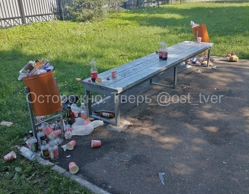 Тверитяне жалуются на мусор, разбросанный в парке
