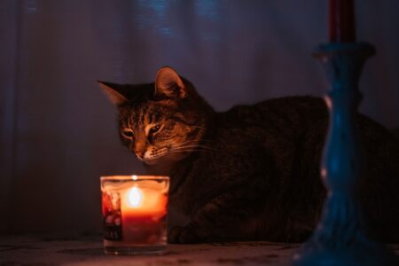 Под Тверью 400 сельских жителей остались без света