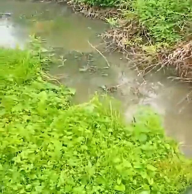 В реки Тверской области стекает канализация