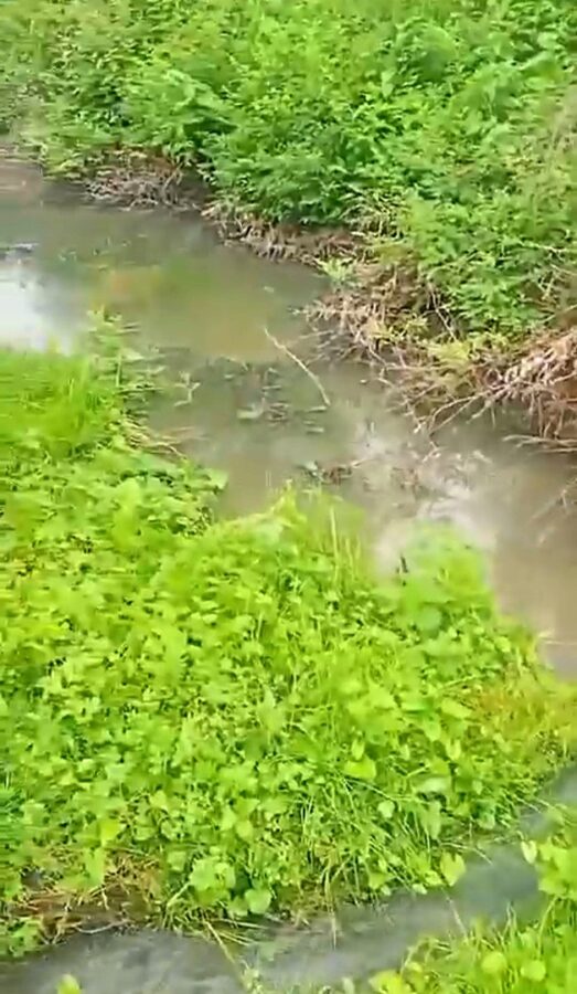 В реки Тверской области стекает канализация