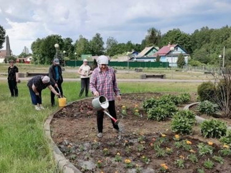 В андреапольском сквере благоустроили клумбы