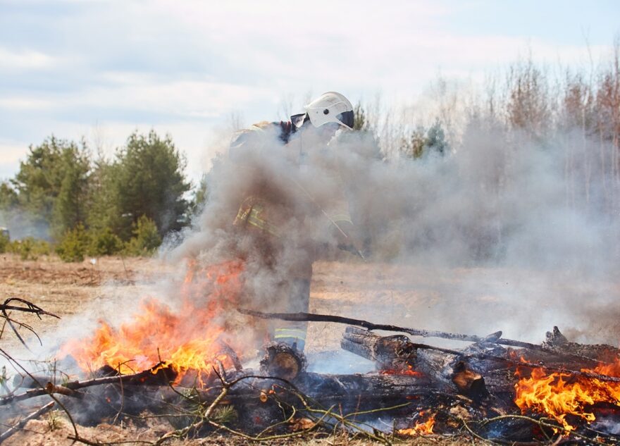 Названы штрафы, которые жители Тверской области заплатят за нарушение противопожарного режима в лесу