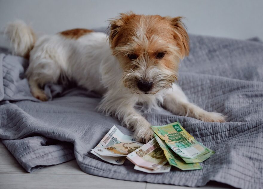 Разводы в России подорожают в 8 раз