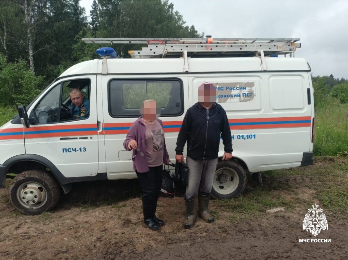 В Тверской области спасатели нашли двух заблудившихся грибников