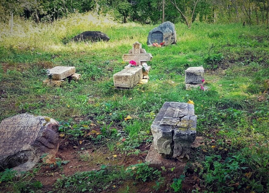 Жителей Твери предупредили о гадюках на кладбище