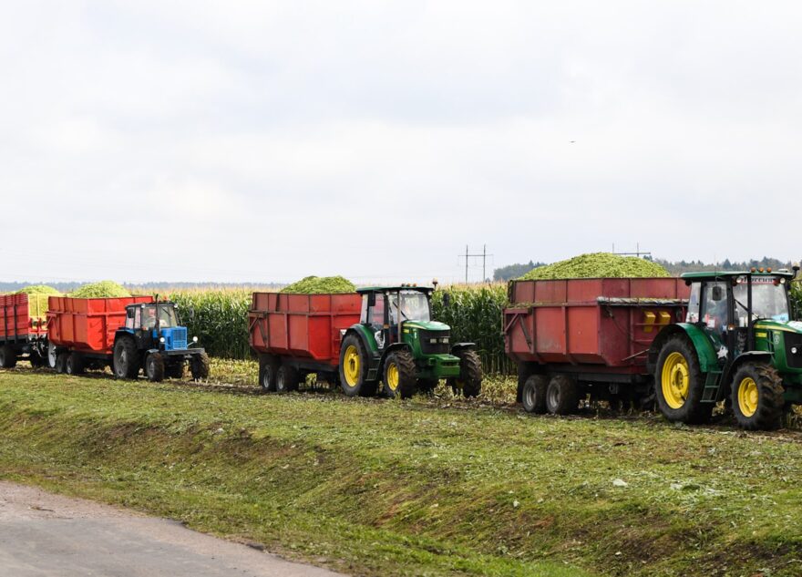 Хозяйствам Тверской области возместят часть расходов на покупку животных и спецтехники