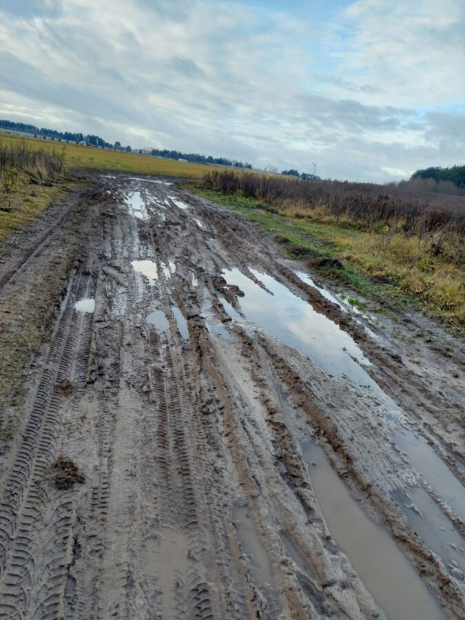 Жители добились строительства новой дороги к кладбищу под Тверью