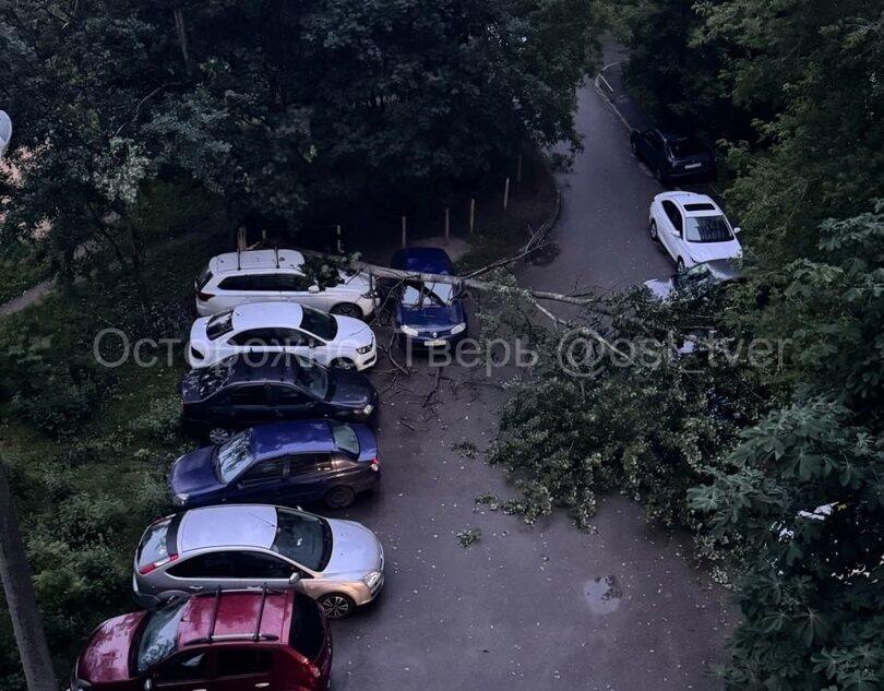 Во время урагана в Твери дерево упало на три машины Во время урагана в Твери дерево упало на три машины