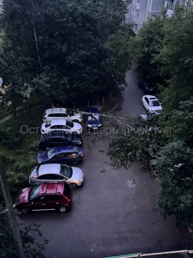 Во время урагана в Твери дерево упало на три машины