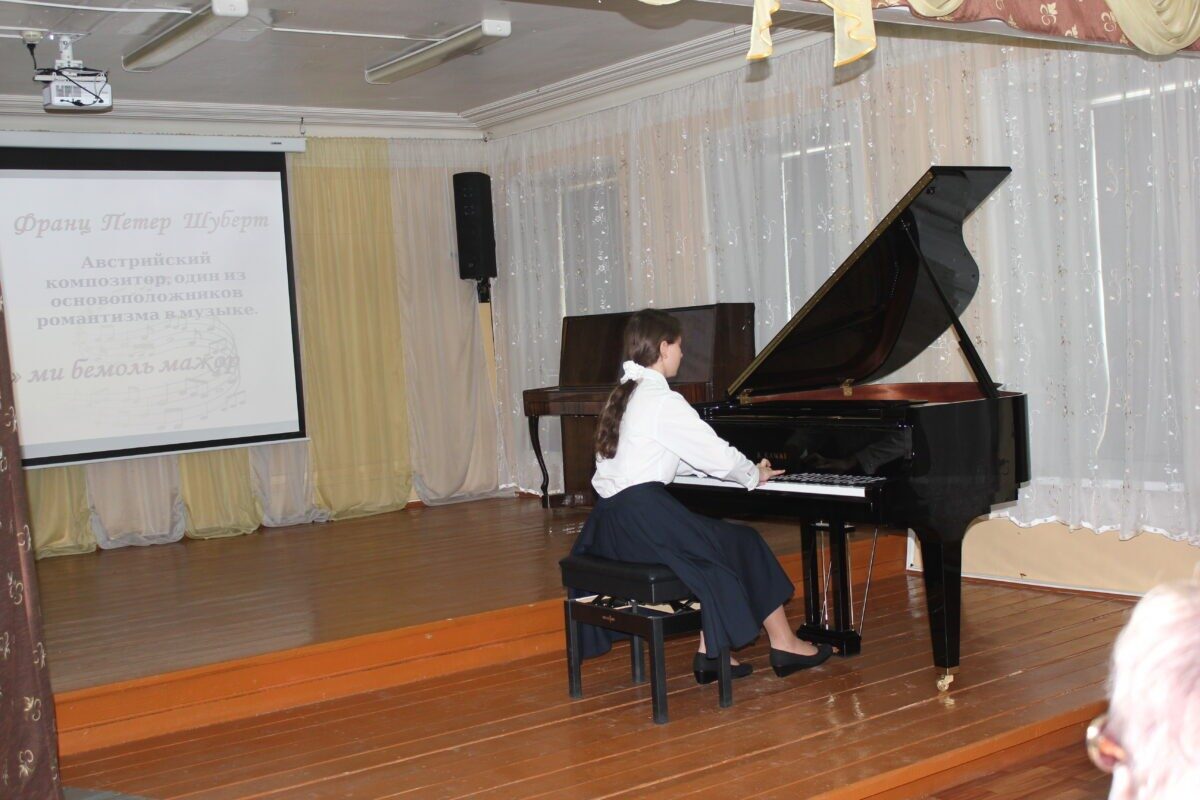 В Краснохолмском округе открылся виртуальный концертный зал