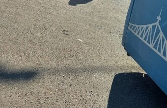 В Тверской области парень упал посреди дороги В Тверской области парень упал посреди дороги