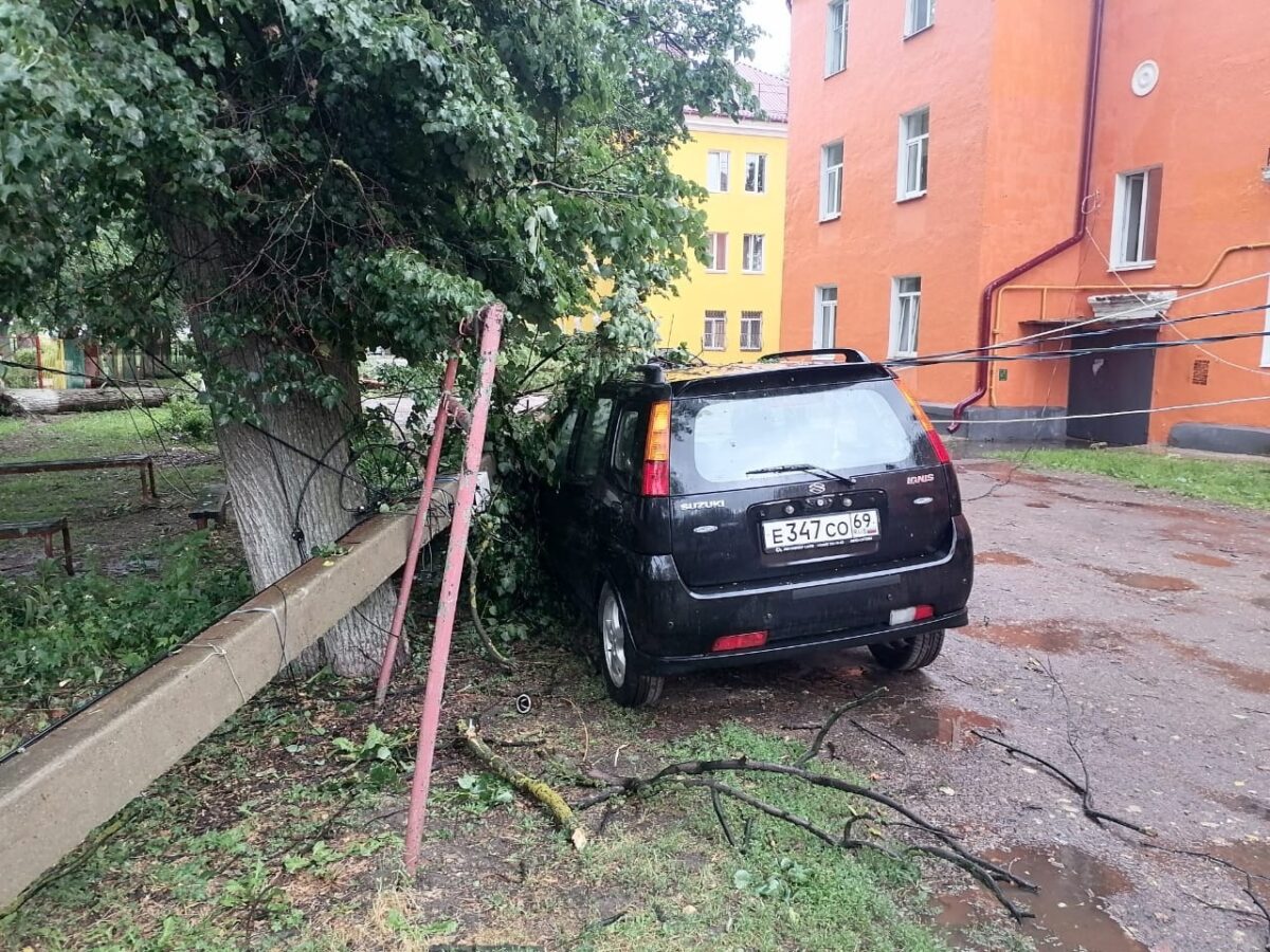 В Тверской области дерево упало на столб, а он на автомобиль | ТОП Тверь  новости