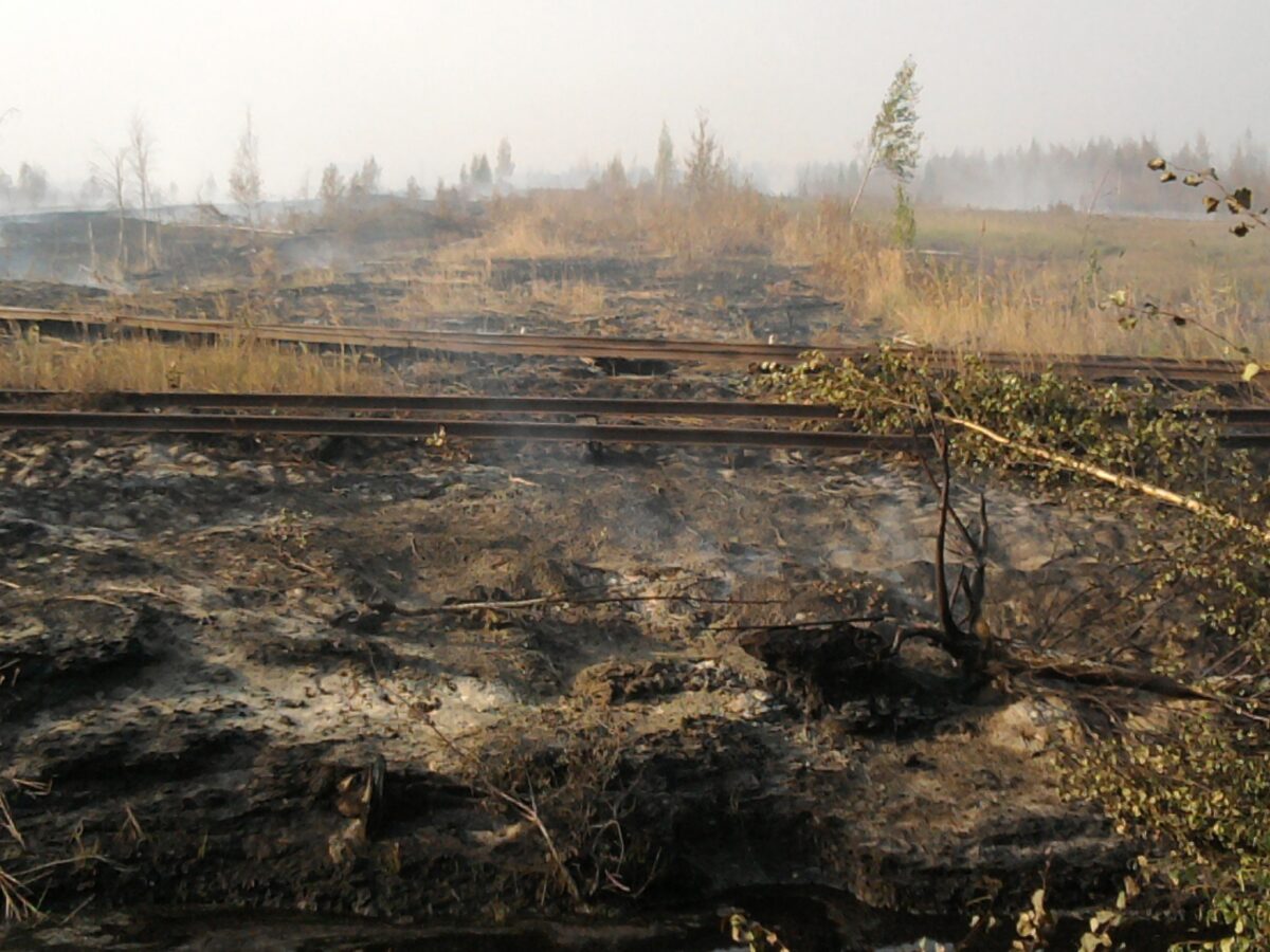 В архивах нашли фотографии страшных пожаров под Тверью