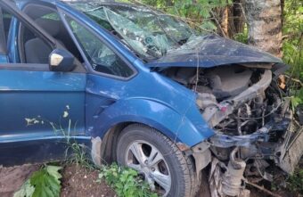 Лось погиб под колёсами ВАЗа в Тверской области Лось погиб под колёсами ВАЗа в Тверской области