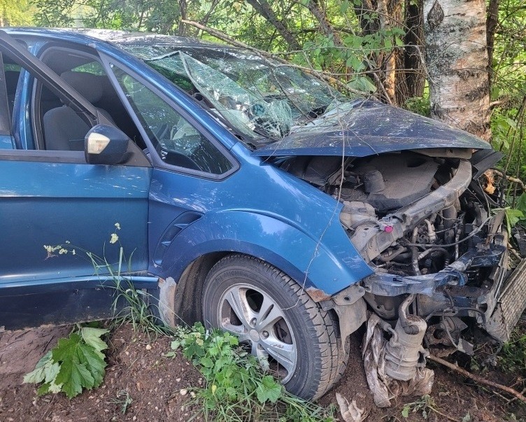 Лось погиб под колёсами ВАЗа в Тверской области Лось погиб под колёсами ВАЗа в Тверской области