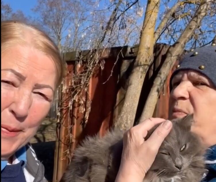 В Твери бабушки-блогеры спасают кошек