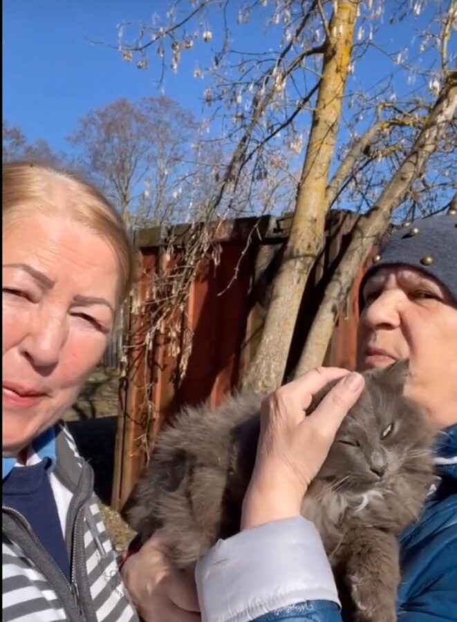 В Твери бабушки-блогеры спасают кошек