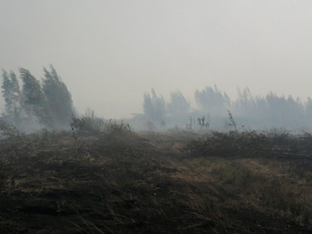 В архивах нашли фотографии страшных пожаров под Тверью