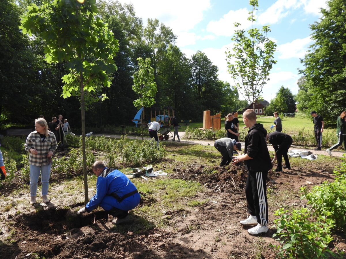 Больше 1000 растений высадили в Литературном сквере в Калязине