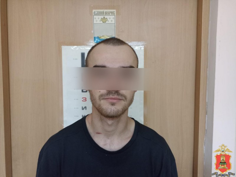 118 свёртков с "синетикой" нашли у задержанного жителя Тверской области