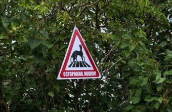 Осторожно, кошки: жители Тверской области повесили новый дорожный знак Осторожно, кошки: жители Тверской области повесили новый дорожный знак