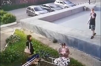 В Тверской области подростки-вандалы безжалостно вырвали цветы у театра В Тверской области подростки-вандалы безжалостно вырвали цветы у театра