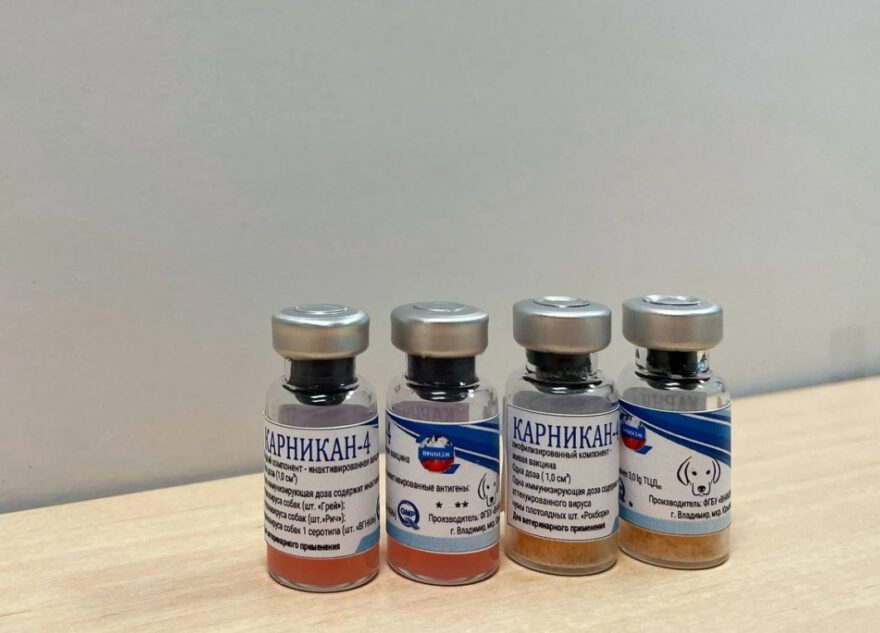 Российские вакцины на защите здоровья животных