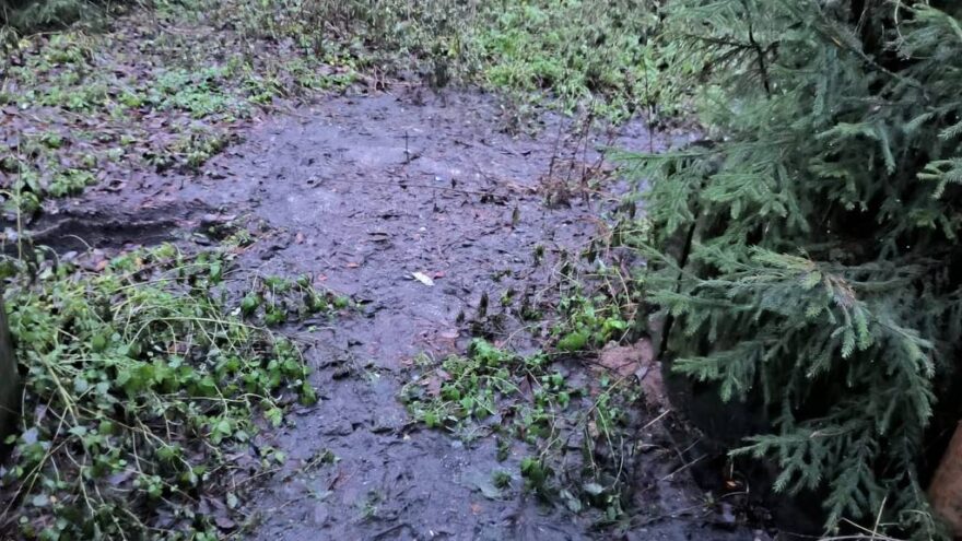 В Тверской области в реку долгое время сливали канализацию и нефть