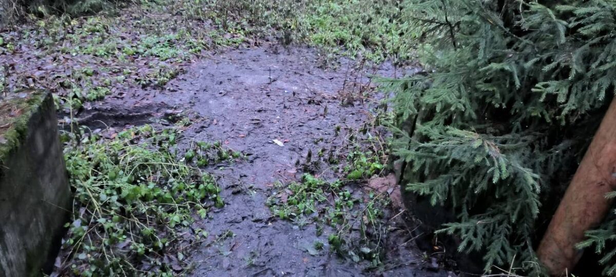 В Тверской области в реку долгое время сливали канализацию и нефть