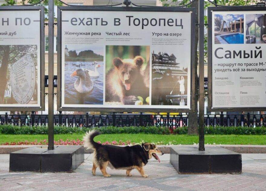 Интересными фактами о Торопце делятся на выставке в центре Москвы Интересными фактами о Торопце делятся на выставке в центре Москвы