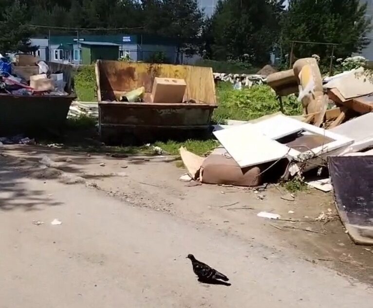 Жители Тверской области пожаловались на мусор возле детского сада Жители Тверской области пожаловались на мусор возле детского сада