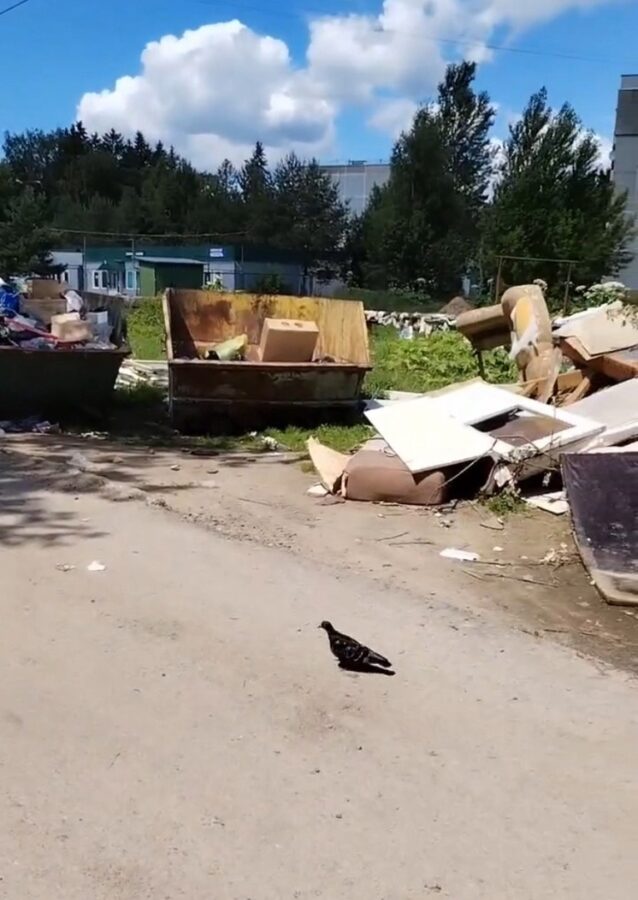Жители Тверской области пожаловались на мусор возле детского сада
